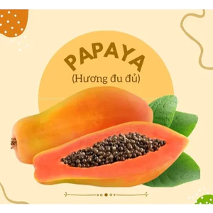 HƯƠNG ĐU ĐỦ (PAPAYA FR - VN) 50mL 100mL