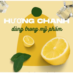 HƯƠNG CHANH VÀNG (LEMON FRAGRANCE)