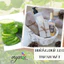 HƯƠNG DƯA LEO (CUCUMBER FR) 50mL 100mL
