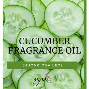 HƯƠNG DƯA LEO (CUCUMBER FR) 50mL 100mL