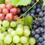 HƯƠNG NHO (GRAPE FR) 50mL 100mL