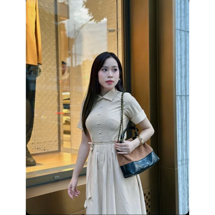 Đầm thiết kế HINSTORE đầm thiết kế kiểu sơ mi bấu ly cũng bọc dáng xòe đính đai hoa 394