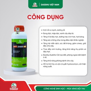 DASSHU Z1000 RICE - Phân Bón Lúa Hữu Cơ, Hỗ Trợ Phát Triển Hệ Rễ, Dưỡng Rễ, Nuôi Hạt