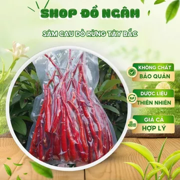 Sâm Cau Đỏ Rừng Tây Bắc 1kg, Đặc Sản Tự Nhiên, Rửa Sạch Hút Chân Không, Nguyên Củ