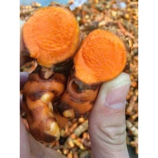 Tinh nghệ nguyên chất 500g HTX Đức Phát Nghệ An (Cam kết không pha trộn)