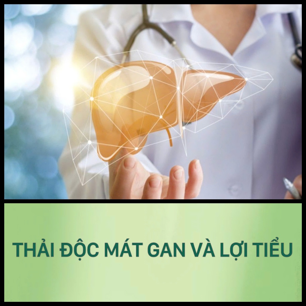 Bảo An Trà (2 gói tặng 1 gói 250g) trà bảo an hỗ trợ dễ ngủ, giải độc mát gan, tốt cho tiêu hóa
