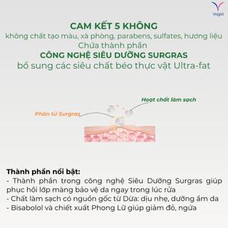 [Chính Hãng] Gel Vệ Sinh Phụ Nữ Vagisil Hương Nước Hoa, Cân Bằng pH, Kiểm Soát Mùi Nhạy Cảm 240ml - Dung Dịch Vệ Sinh
