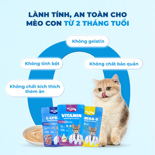 [THÙNG PATE TIẾT KIỆM] COMBO 48 & 24 Gói Pate MR VET Gói 70g Thức Ăn Ướt Cho Mèo Bổ Sung Dinh Dưỡng