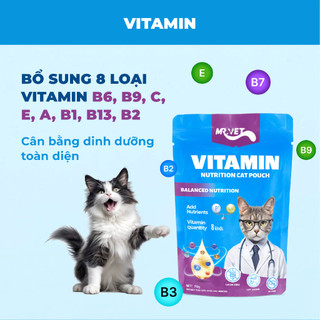 [THÙNG PATE TIẾT KIỆM] COMBO 48 & 24 Gói Pate MR VET Gói 70g Thức Ăn Ướt Cho Mèo Bổ Sung Dinh Dưỡng