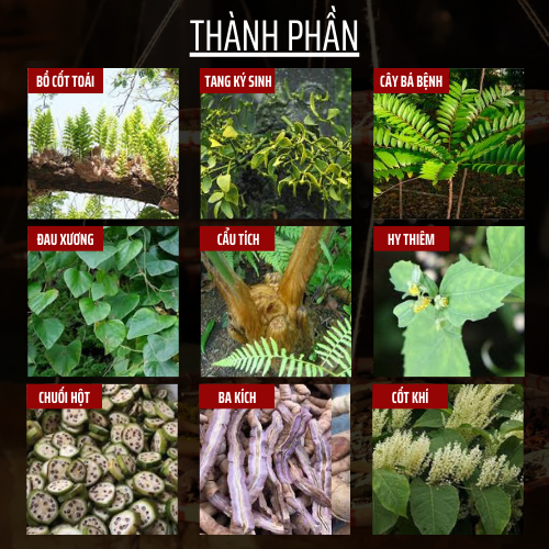 Thảo mộc thiên nhiên - Đông y gia truyền Đông Cát - Hoàn tán xươn.gkhớp - Túi 500 hoàn