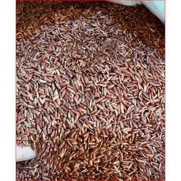 1KG Gạo Lứt Huyết Rồng (LOẠI NGON) - Gạo Lứt Đen Mềm Dẻo Cao Cấp