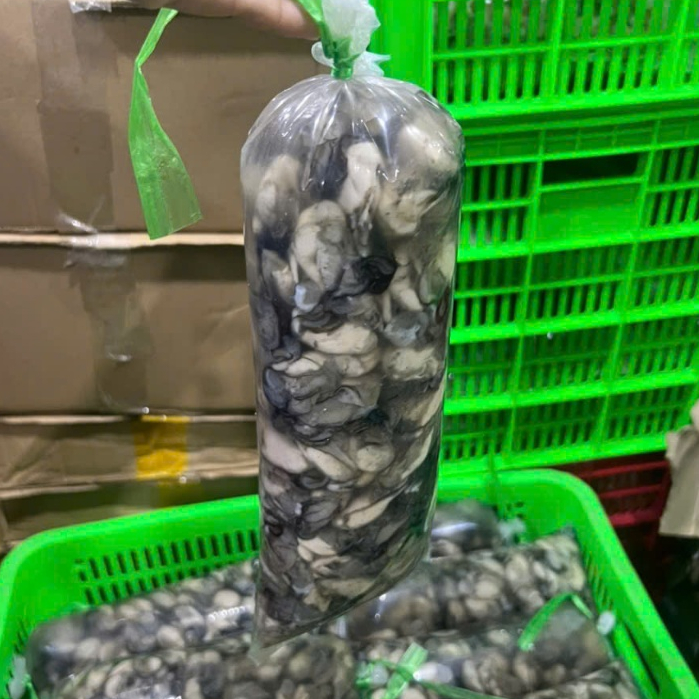 Hàu sữa tách vỏ đủ 1kg (giao hoả tốc)