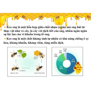 Dung dịch xịt mũi keo ong DKPHARMA PROPOSOL chai 70ml