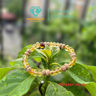 Vòng Hổ phách bồ đề cho bé sơ sinh ngủ ngon Amberose