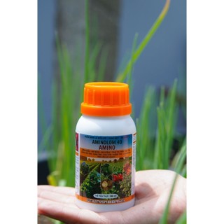 Hữu Cơ Sinh Học AMIONOLOM 40 Xanh Lá - Mập Thân -Kích Bông - Phục Hồi Cây Sau Thu Hoạch