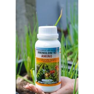 Hữu Cơ Sinh Học AMIONOLOM 40 Xanh Lá - Mập Thân -Kích Bông - Phục Hồi Cây Sau Thu Hoạch