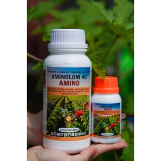 Hữu Cơ Sinh Học AMIONOLOM 40 Xanh Lá - Mập Thân -Kích Bông - Phục Hồi Cây Sau Thu Hoạch