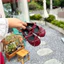 Giày búp bê cho bé gái đính nơ da mềm đế bệt chống trơn trượt (dn03)