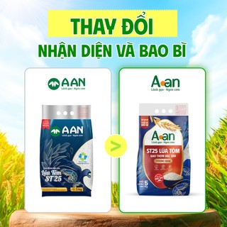Combo 3 túi Gạo ST25 lúa tôm thượng hạng Aan túi 5kg - bao bì mới - Chính hãng Gạo sạch Aan