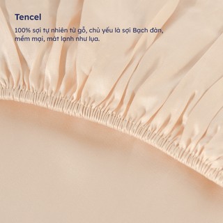 Vỏ Ga Nệm Lụa Tencel 300TC Cao Cấp | Mềm Mịn Mát Lạnh | Màu Trơn Bo Chun Size 1m2, 1m4, 1m6