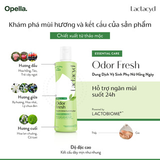 Bộ 2 Chai DDVS Phụ Nữ Lactacyd Cool Sensation 250ml + 2 Chai Lactacyd Odor Fresh 250ml