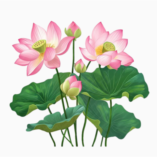 [HỎA TỐC] Hình ủi nhiệt-Hình Hoa ủi áo tại nhà bằng bàn là bàn ủi-miếng vá áo rách