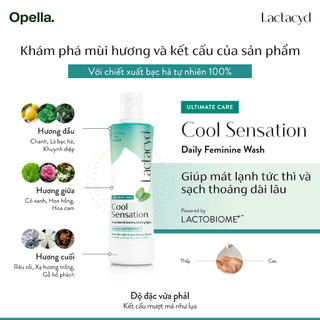 Bộ 2 Chai DDVS Phụ Nữ Lactacyd Cool Sensation 250ml + Lactacyd Cool Sensation 150ml