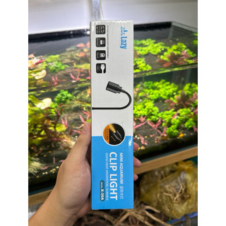 Đèn Rọi Mini 3 Chế Độ Chỉnh Tiêu Cự Cho Bể Thủy Sinh, Bể Biotope (3w)