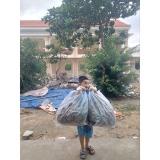 1  bọc lá bàng khô rụng tự nhiên 500g ( rất nhiều lá)