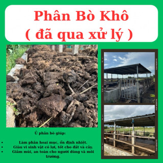 Phân bò khô đã qua xử lý( nặng 9 - 11kg tuỳ theo độ ẩm )
