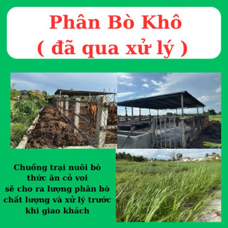Phân bò khô đã qua xử lý( nặng 9 - 11kg tuỳ theo độ ẩm )