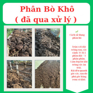 Phân bò khô đã qua xử lý( nặng 9 - 11kg tuỳ theo độ ẩm )