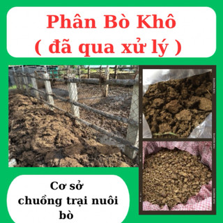 Phân bò khô đã qua xử lý( nặng 9 - 11kg tuỳ theo độ ẩm )