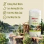 Sáp Khử Mùi Old Spice nhiều mùi hương 85g (Sáp xanh)