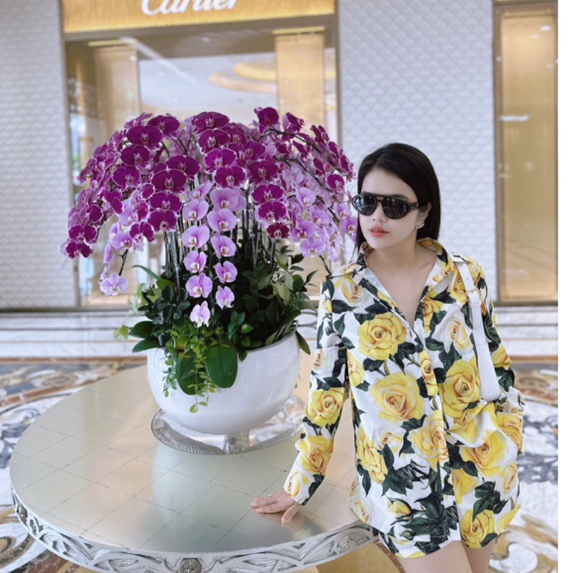 Áo sơ mi hoa vàng tay dài D&G