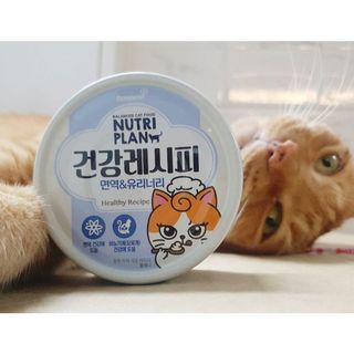 Combo 24 & 12 Lon Pate NUTRI PLAN Hỗ Trợ Tiết Niệu Cho Mèo Dạng Hộp 90g, Pate NutriPlan Cho Mèo