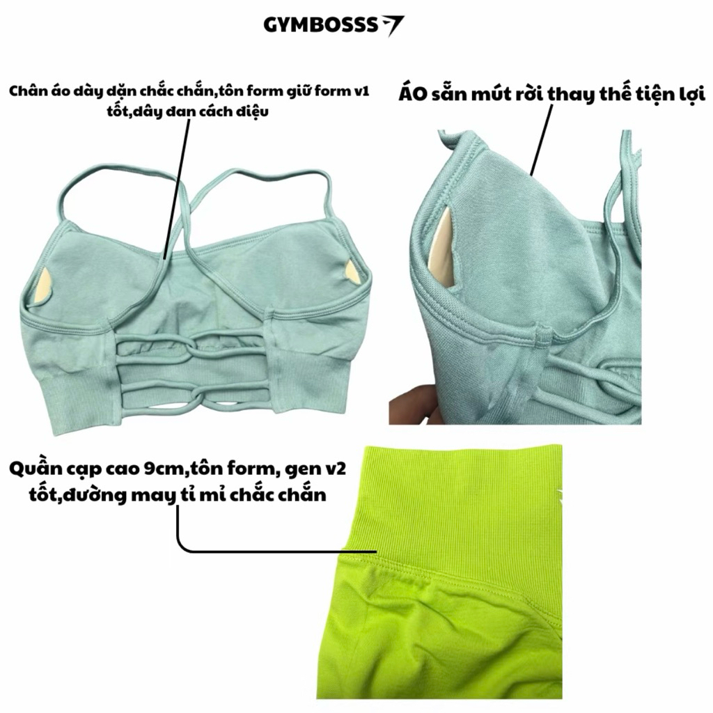 Bộ quần áo tập gym,yoga legging + bra dệt kim cao cấp GB310