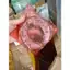 Bố thắng Xe số xe ga, má phanh xe số xe Ya kèm lò xo THÙY LINH TOOLS