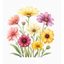 Hình Hoa ủi áo tại nhà-Miếng vá áo rách