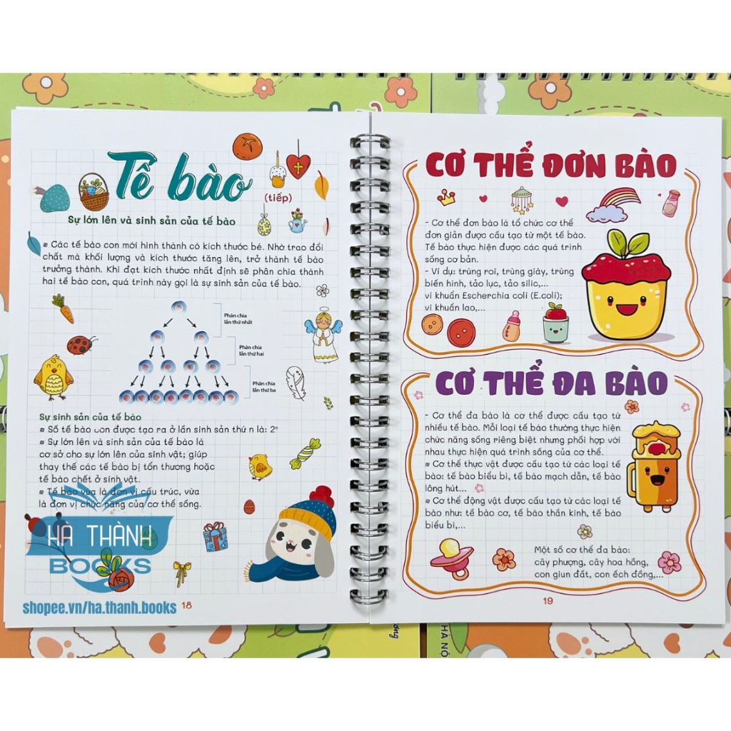 Sổ tay take note Khoa học tự nhiên lớp 6 | Tóm tắt kiến thức, học tập hiệu quả, cỡ A5 in màu đẹp
