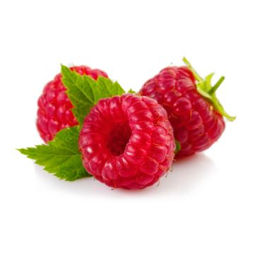 HƯƠNG TRÁI MÂM XÔI / PHÚC BỒN TỬ (RASPBERRY FR) 5mL 10mL 25mL