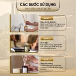 Nước Hoa Phòng LOGEVY Best Seller Made in Italy Tinh Dầu Khuếch Tán 100ml 250ml 500ml 1L Quà Cao Cấp — ảnh 4