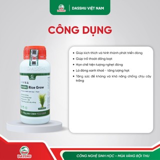 DASSHU RICE GROW - Phân Bón Lúa Hỗ Trợ Đẻ Nhánh, Làm Đòng, Trổ Bông, Bổ Sung Humic Và Vi Lượng