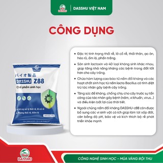 DASSHU Z88 - Phân Bón Sinh Học giúp Hỗ Trợ Hạn Chế Thối Rễ, Phòng Vàng Lá Tăng Sức Đề Kháng Cho cây