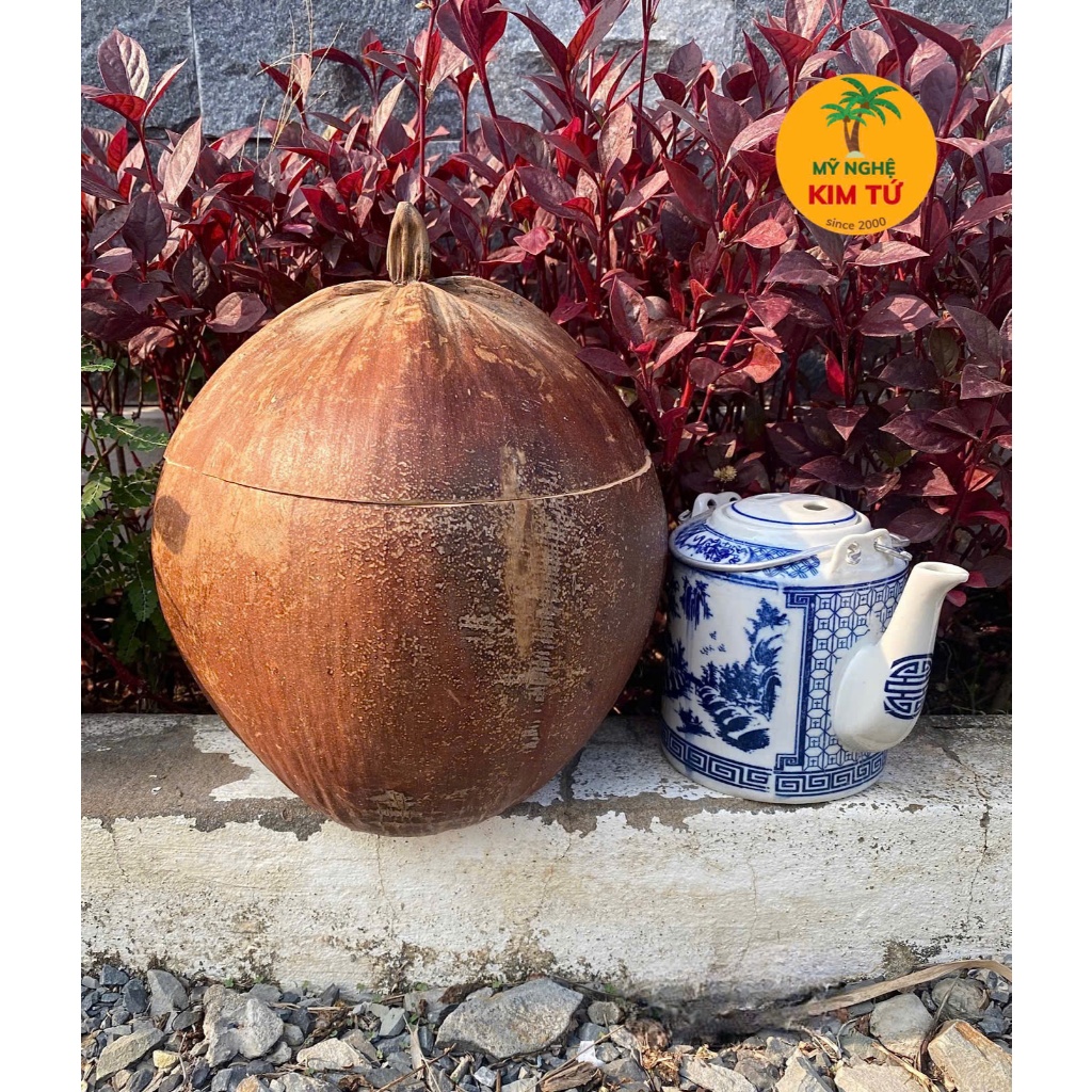 [ SIZE 800ML - 1000ML ] Bình Ủ TRÁI DỪA THÔ Giữ Nhiệt Ấm Trà Cao Cấp, THÔ NGUYÊN THUỶ Trang Trí Bàn Trà, Quà Tặng Sang