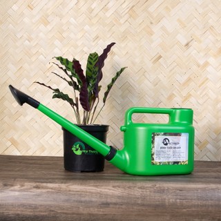 Nhà Thương Cây - BÌNH TƯỚI OH-DIY đầu tưới giảm áp, hạn chế văng nước ra sàn