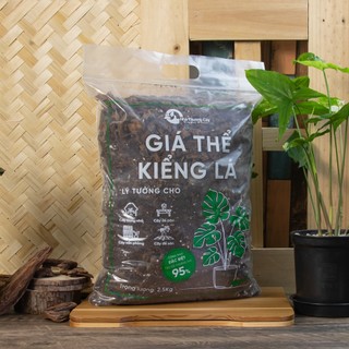 Nhà Thương Cây - Giá Thể Kiểng Lá siêu nhẹ siêu thoáng khí