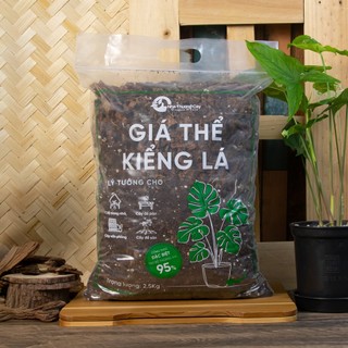 Nhà Thương Cây - Giá Thể Kiểng Lá siêu nhẹ siêu thoáng khí