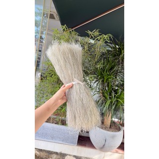Miến Dong Điện Biên – Đặc Sản Tây Bắc - Thái Rồng Xanh