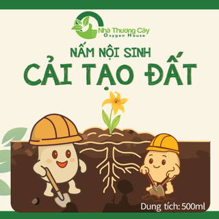 Nhà Thương Cây - Can CẢI TẠO ĐẤT Nấm nội sinh NTC (Can 5L - 10L)